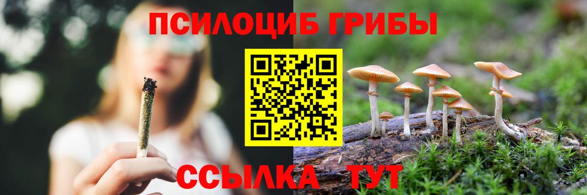 Кизилюрт  Псилоцибиновые грибы Psilocybe  Вход с VPN  Псилоцибиновые грибы мухоморы 